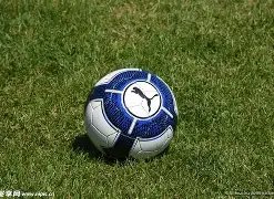 大连足球再,创辉煌,英博集团激,火狐体育HuoHu官网,HuoHu火狐娱乐,火狐体育投注,火狐体育平台,火狐赛事直播,火狐体育app下载