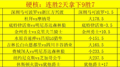 大乐透期号专家推荐：黄蜂对太阳让分质合分析